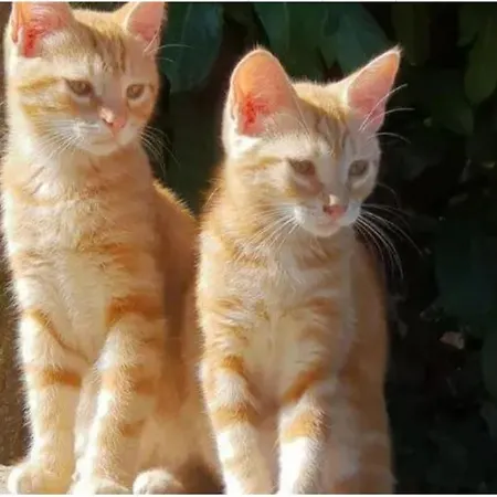 House Sant'annunziata