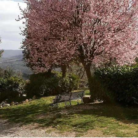 House Sant'annunziata *