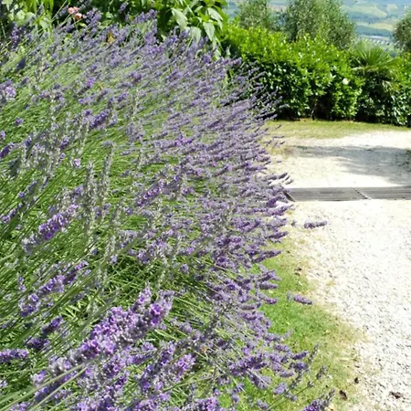 House Sant'annunziata Lägenhet *