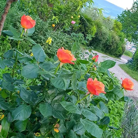 Апартаменты House Sant'annunziata Monte Rubiaglio